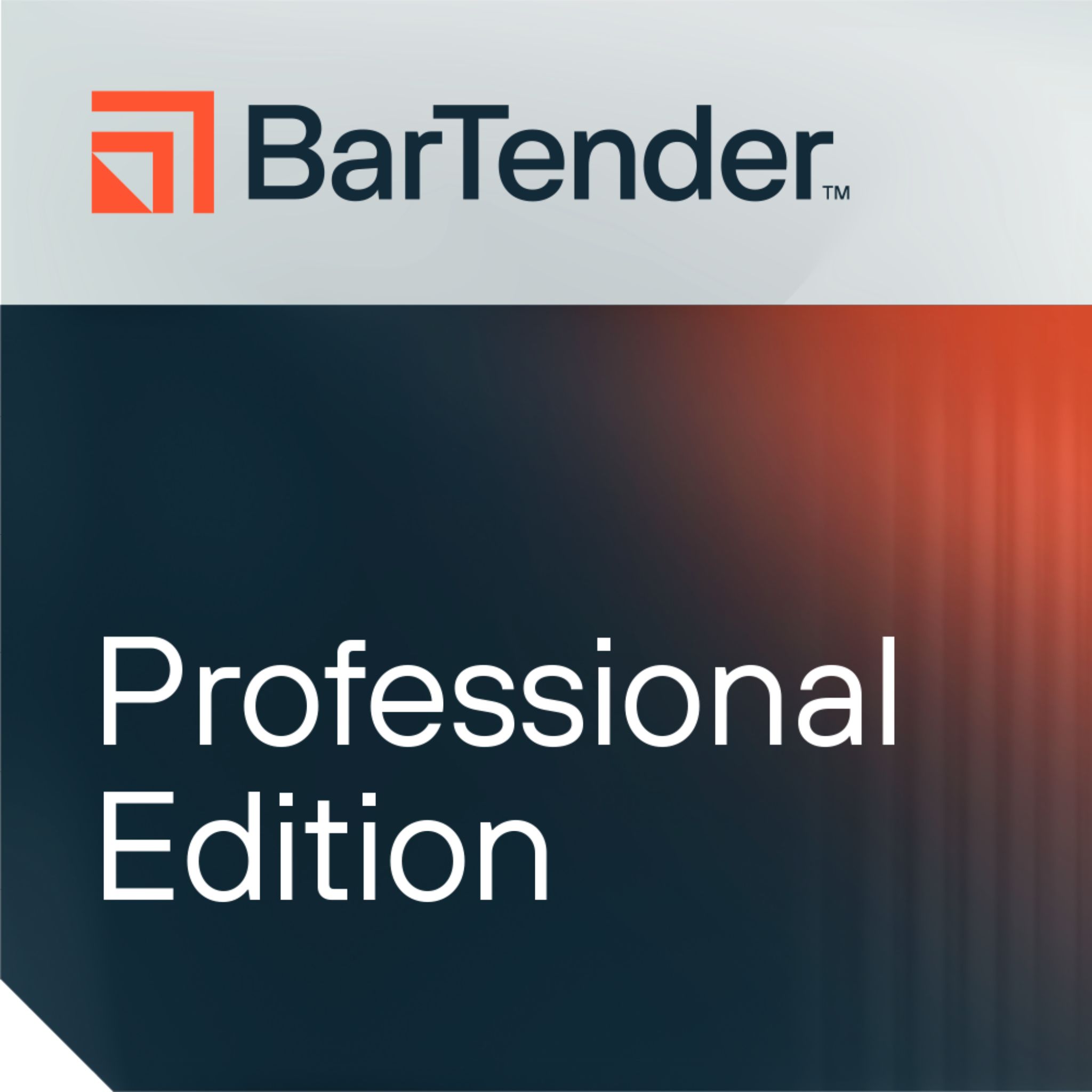 Seagull BarTender 2022 Professional, workstation maintenance and support, 1 Year