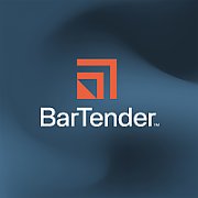 Seagull BarTender 2022 Professional, workstation maintenance and support, 1 Year