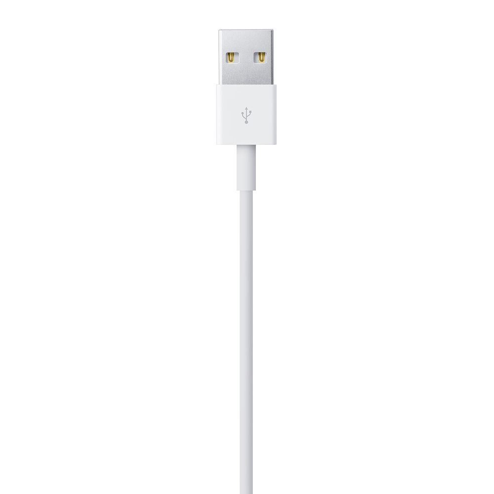 Apple Lightning to USB Cable (1В m)_4