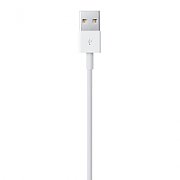 Apple Lightning to USB Cable (1В m)_4