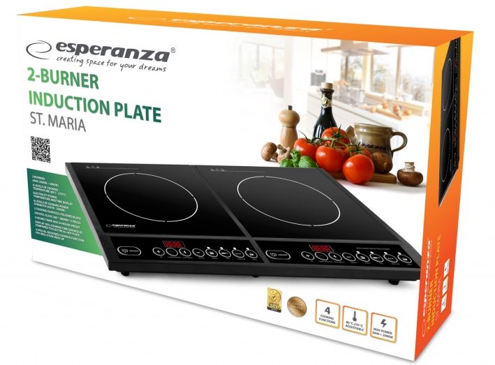 Esperanza EKH008 hob Black Countertop Zone induction hob 2 zone(s)_2