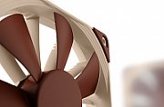 Noctua NF-F12 Computer case Fan 12 cm Beige, Brown_5