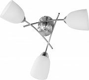 Activejet ceiling light NIKITA 3P E37 3x40W Nickel_3