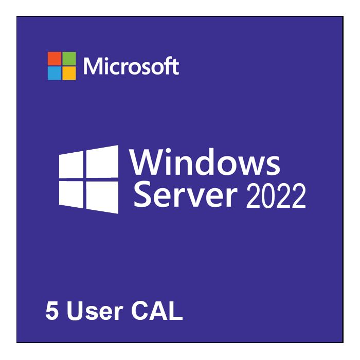 Windows Server CAL 2022 English 1pk DSP OEI 5 Clt User CAL_1