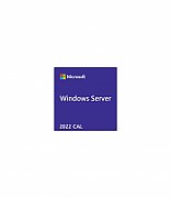 Windows Server CAL 2022 English 1pk DSP OEI 1 Clt Device CAL_2