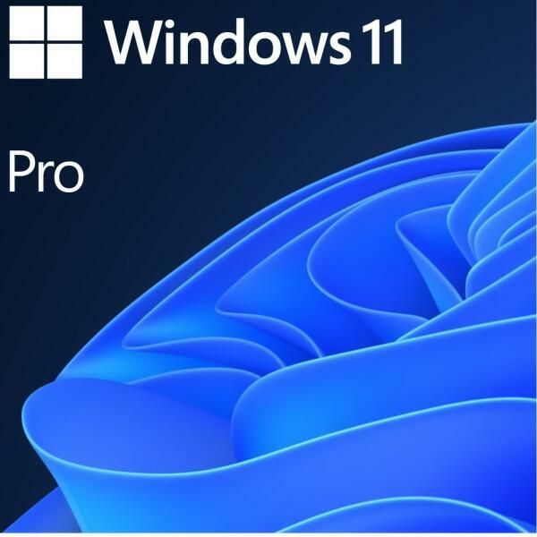 Licenta OEM Microsoft Windows 11 Pro 64 bit Romanian_1