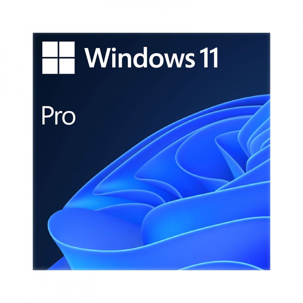 Windows 11 Professional 64Bit English Intl 1pk DSP OEI DVD_2