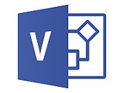 MS OVL Visio Pro Lic/SA ADD 1Y2Y [NL]_1