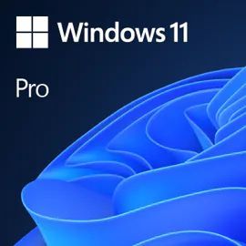 MS Windows 11 PRO [MUI] ESD_1