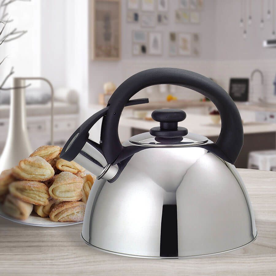 Feel-Maestro MR1302 kettle 2.5 L Stainless steel_2