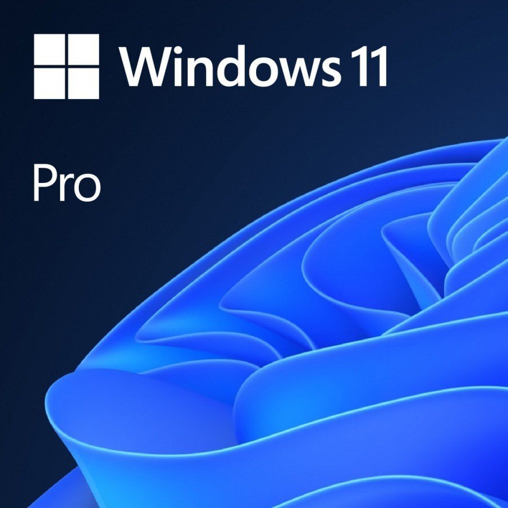 Microsoft Windows 11 Pro 1 license(s)_1