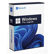 CSP Windows 11 Home to Pro Upgr [P]_1