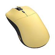 Model O Pro Wireless - Golden Panda - Forge_2