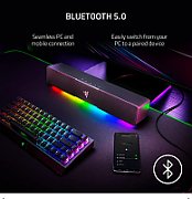 Razer Leviathan V2 X   TECHNICAL SPECIFICATIONS  FREQUENCY RESPONSE 85 Hz – 20 kHz  INPUT POWER Type C with Power Delivery  DRIVER SIZE - DIAMETERS (MM) Full range racetrack drivers: 2 x 2.0 x 4.0