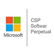 CSP Windows 11 Pro NP [P]_1