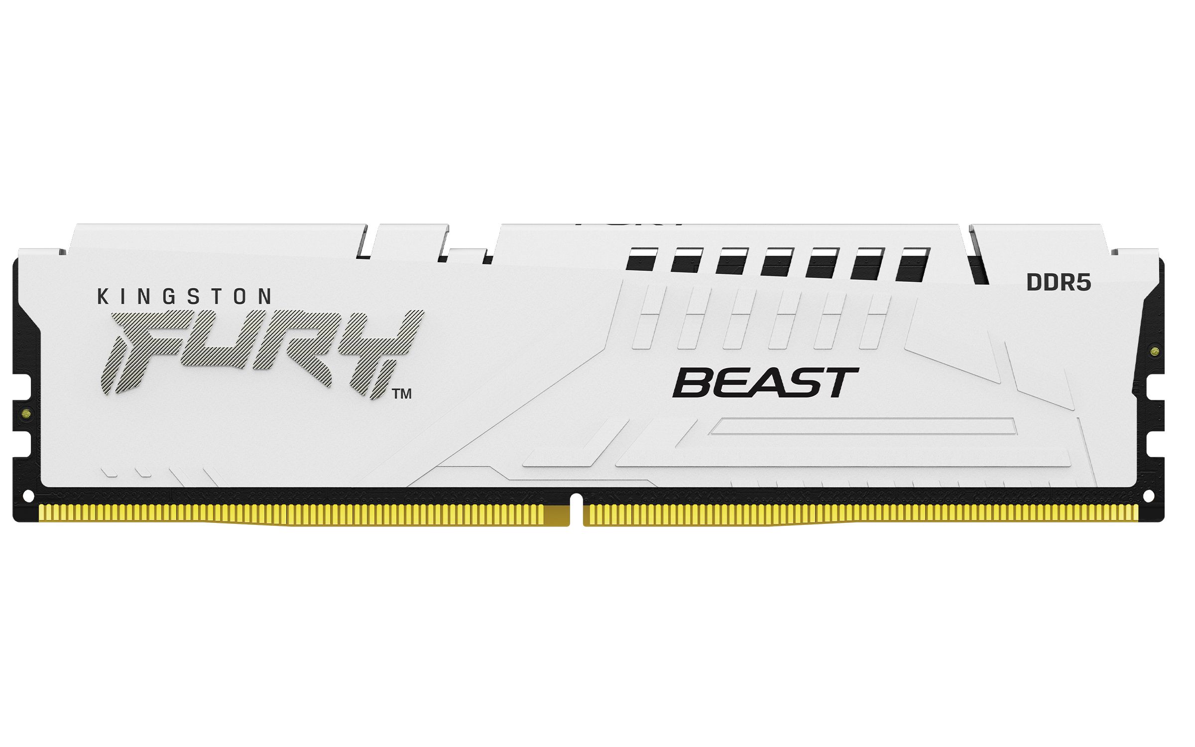 Memorie RAM Kingston, DIMM, DDR5, 16GB, 6000MHz, CL36, 1.35V, FURY Beast White_2