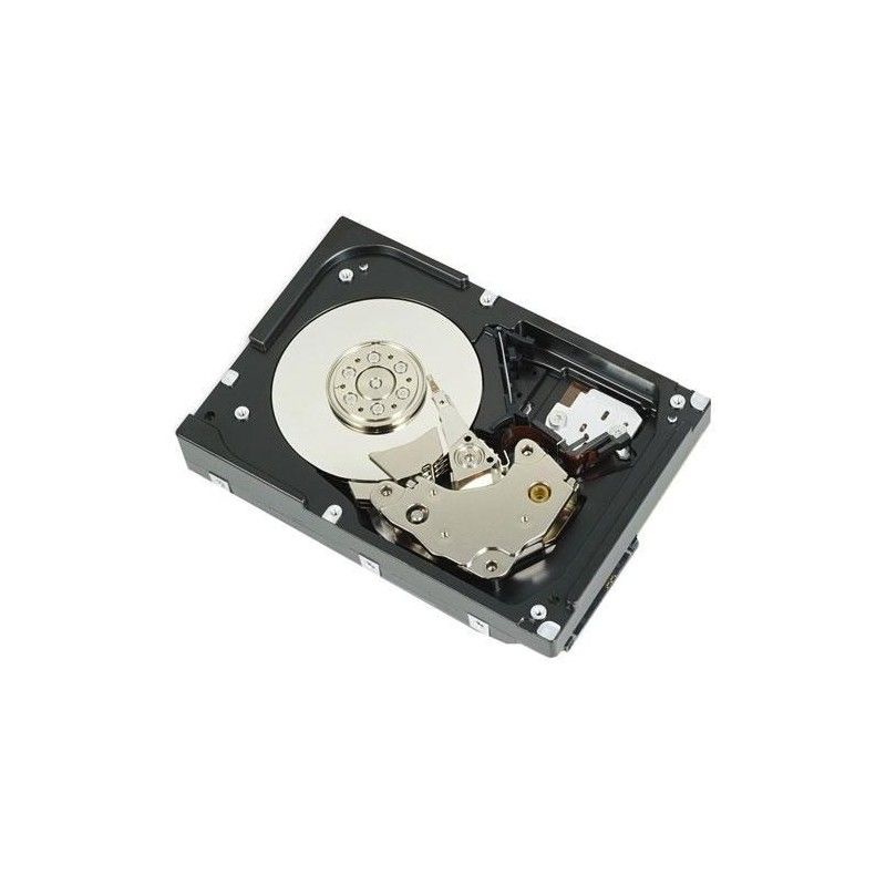 Dell 1TB 7.2K RPM SATA 6Gbps 512n 3.5in Cabled Hard Drive CK_1