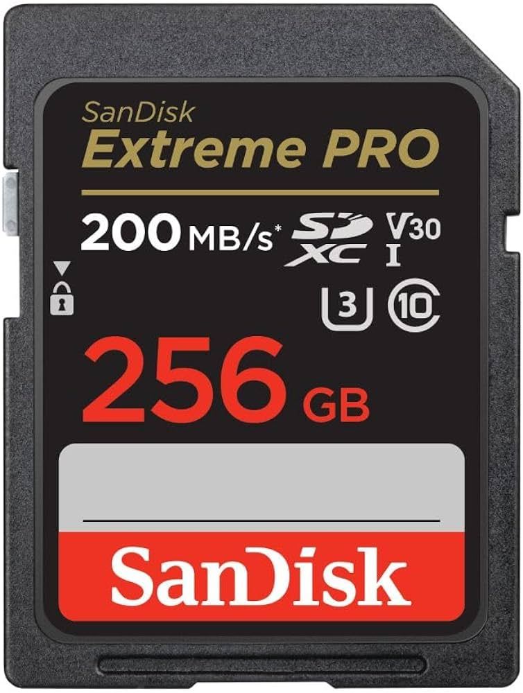 Micro Secure Digital Card SanDisk, 256GB, Clasa 10, Reading speed: 90MB/s_1