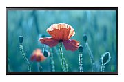 Samsung QB24R-TB Interactive flat panel 60.5 cm (23.8