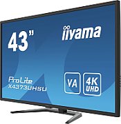 Iiyama Monitor 43