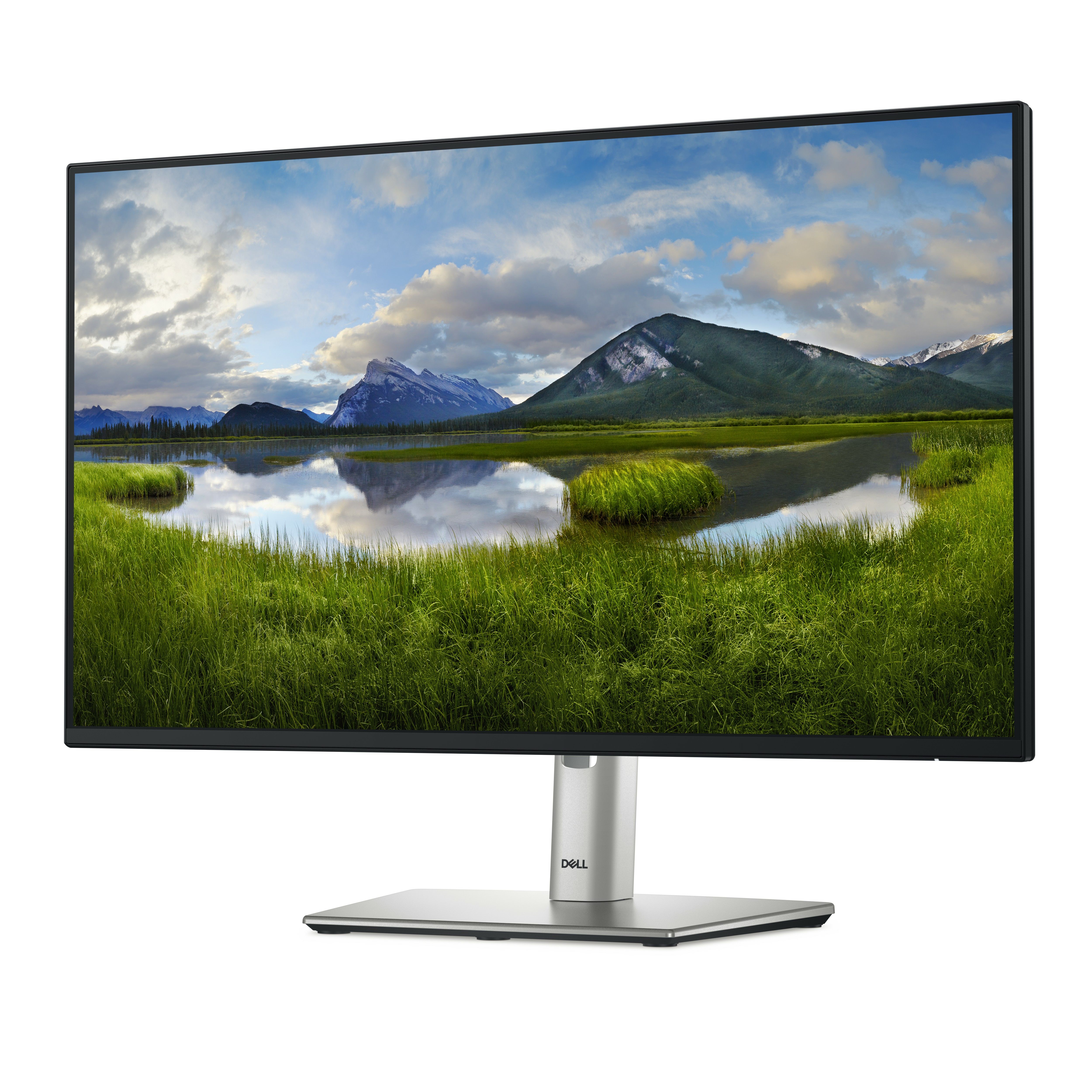 DELL 24 USB-C HUB MONITOR -/P2425HE_2