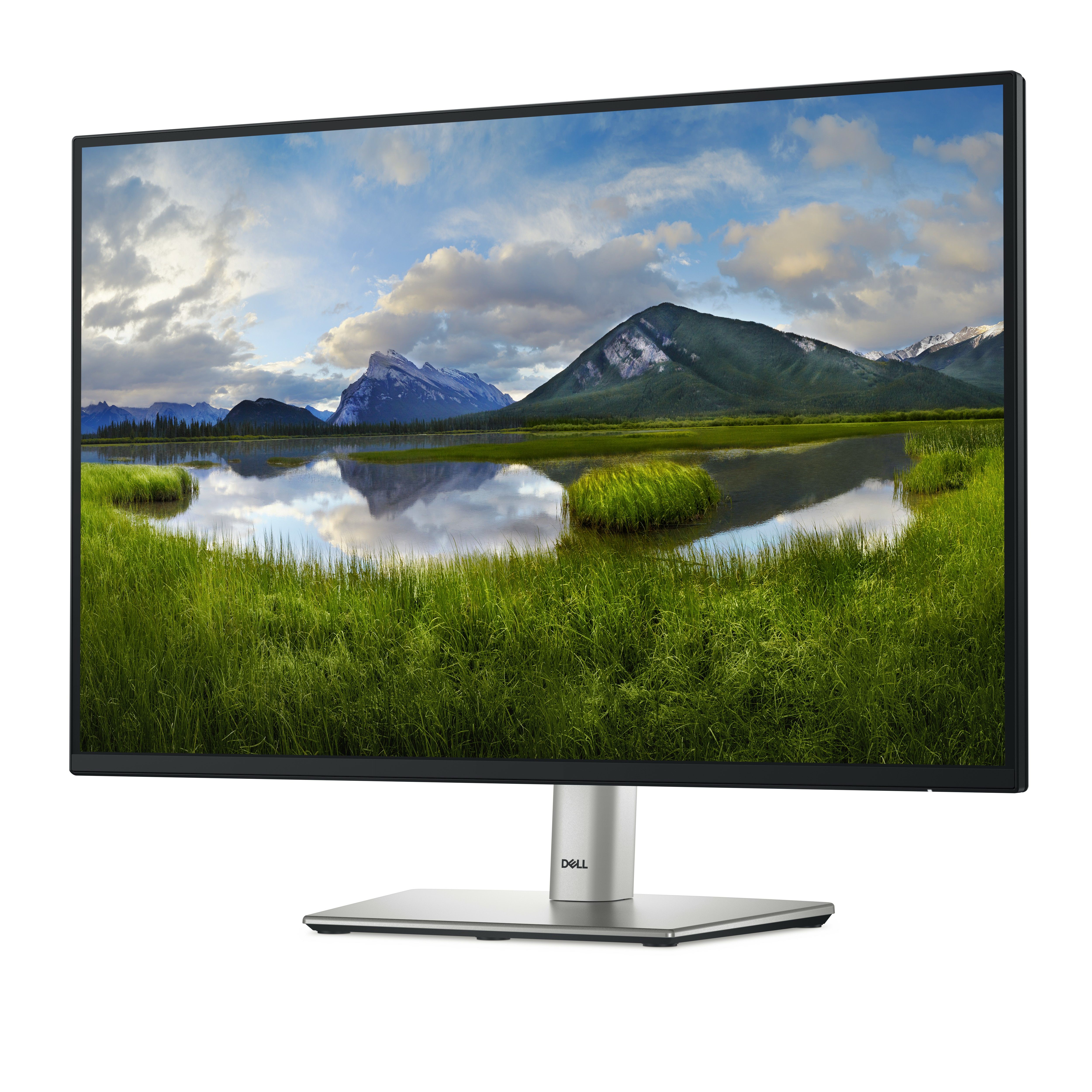 DELL 24 MONITOR - P2425/_2