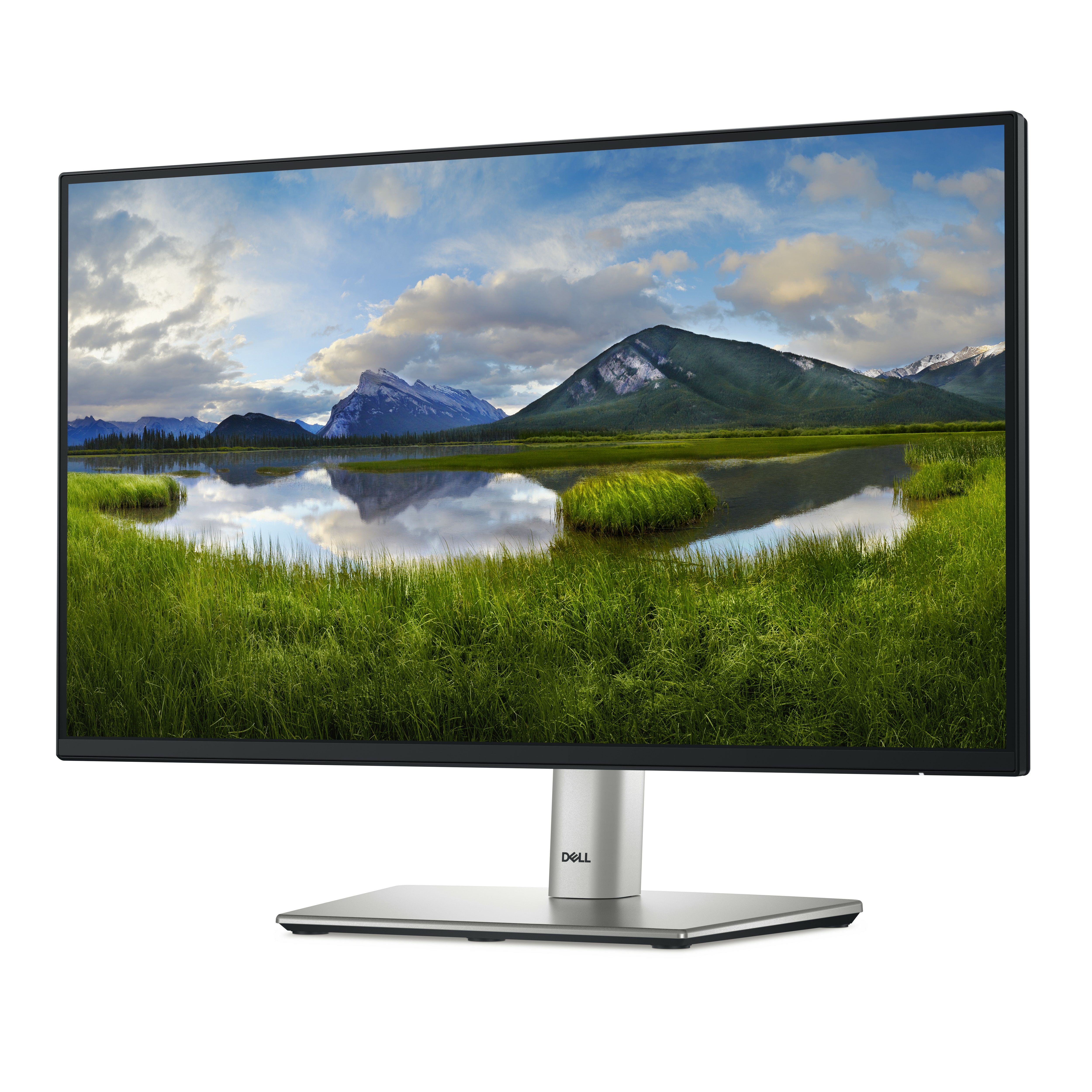 DELL 22 MONITOR - P2225H/_2