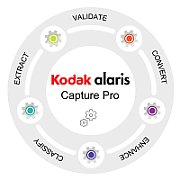 CAPTURE PRO SW GRUPPE A 5 J./.