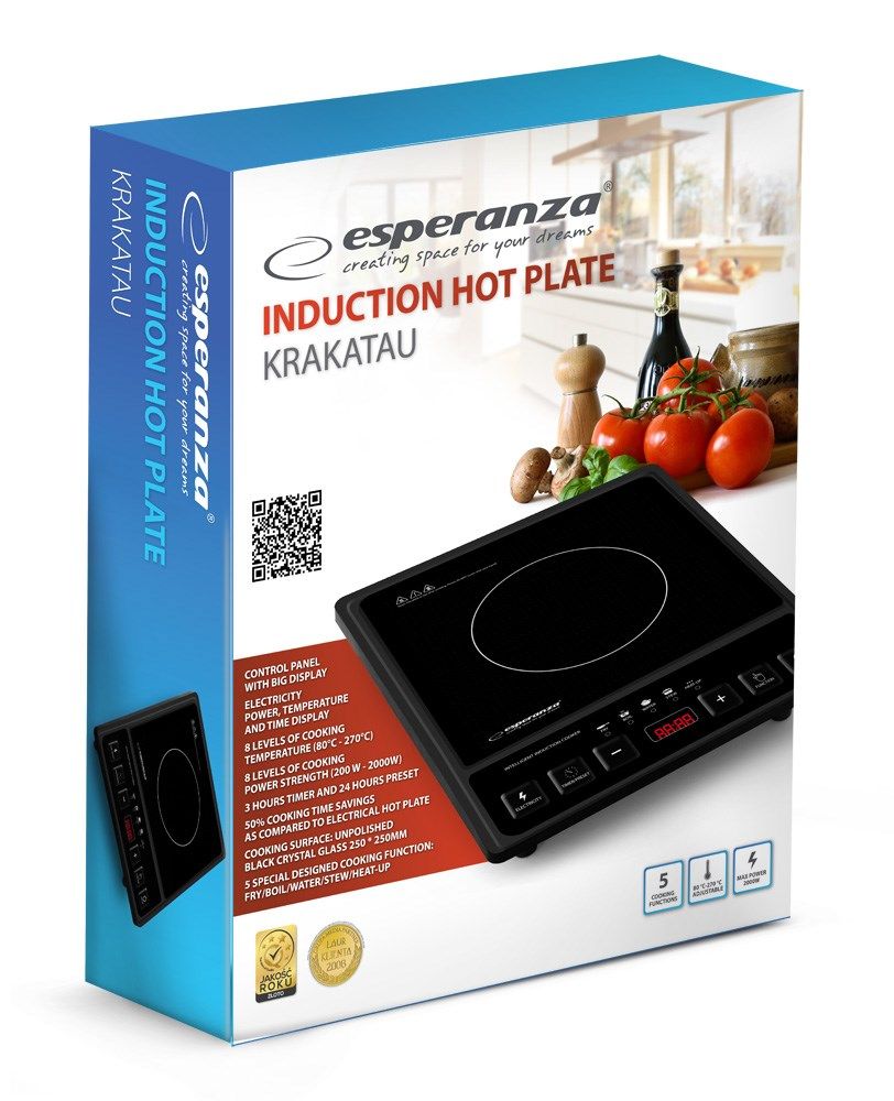 Esperanza EKH011 Black induction cooker_2