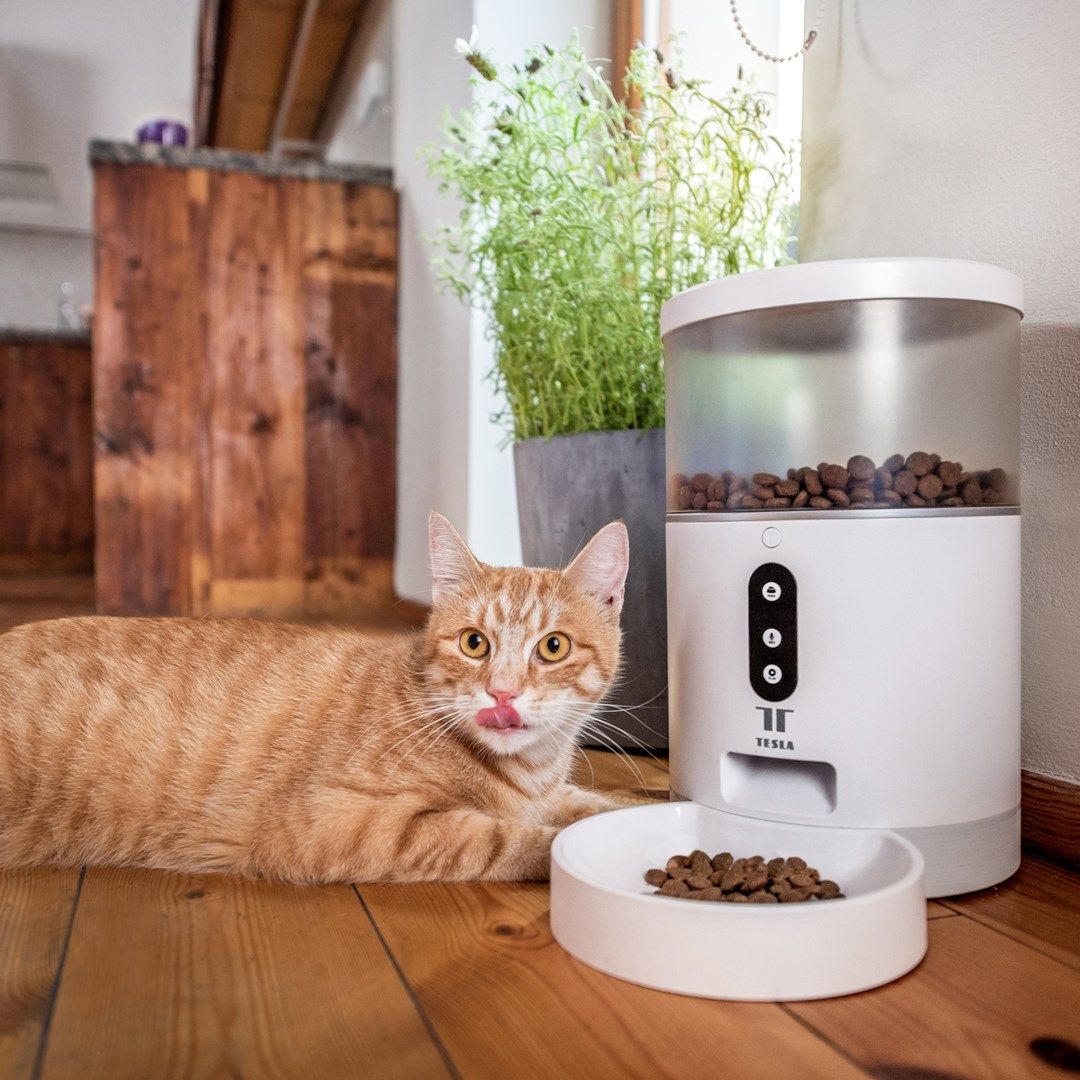 TESLA TSL-PC-BL4 Smart Pet Feeder_11