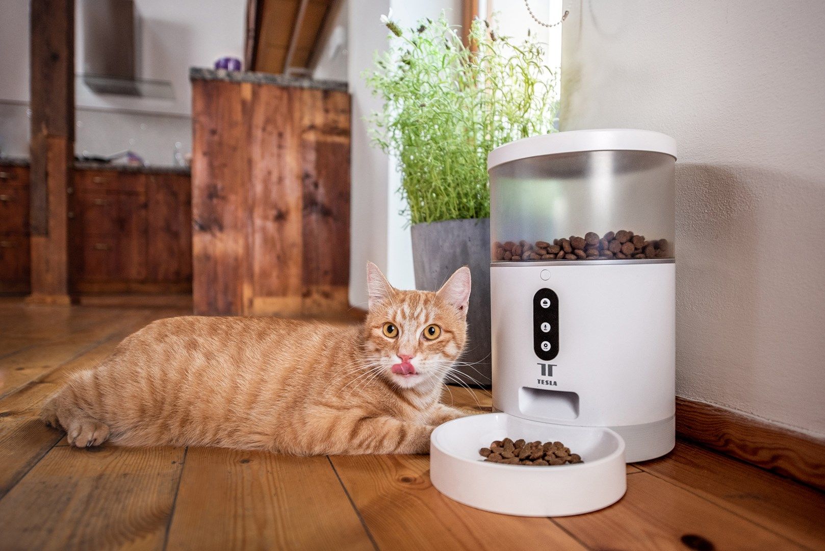 TESLA TSL-PC-BL4 Smart Pet Feeder_12