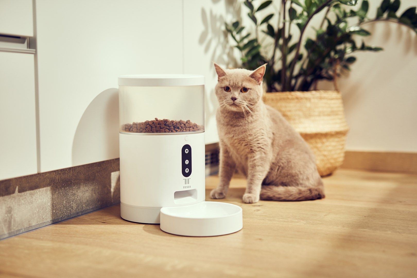 TESLA TSL-PC-BL4 Smart Pet Feeder_14