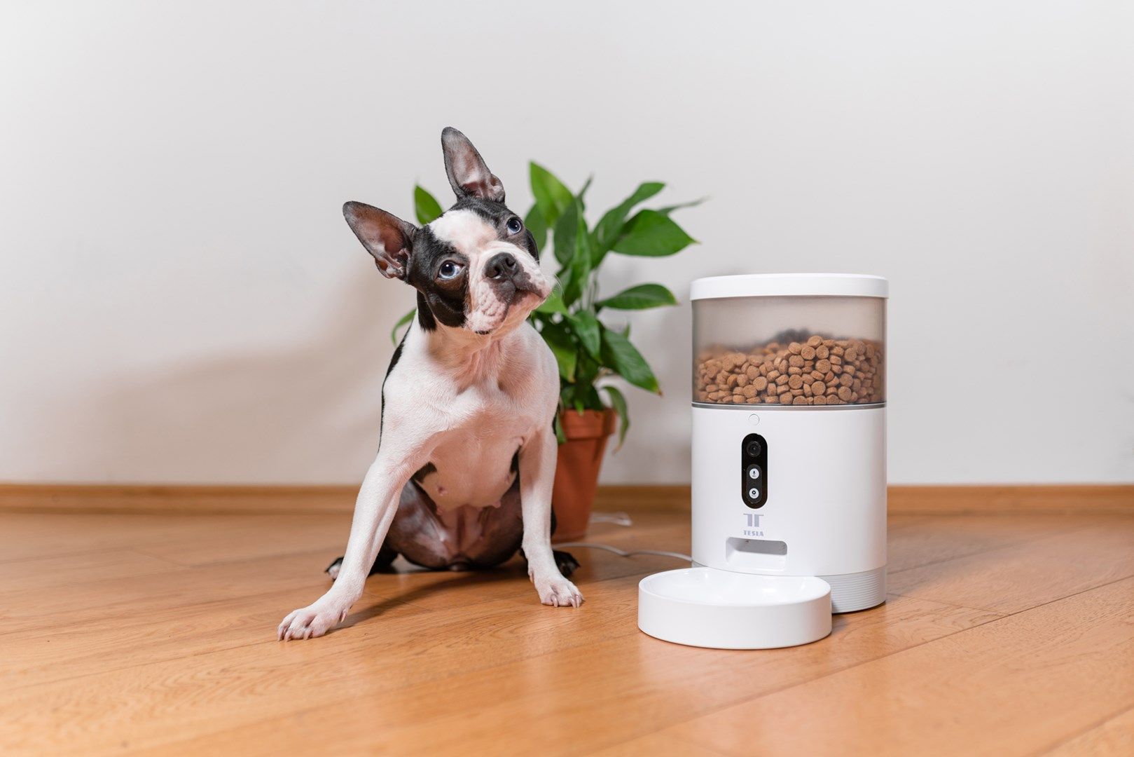 TESLA TSL-PC-BL4C Smart Pet Feeder Camera_12