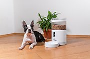 TESLA TSL-PC-BL4C Smart Pet Feeder Camera_9