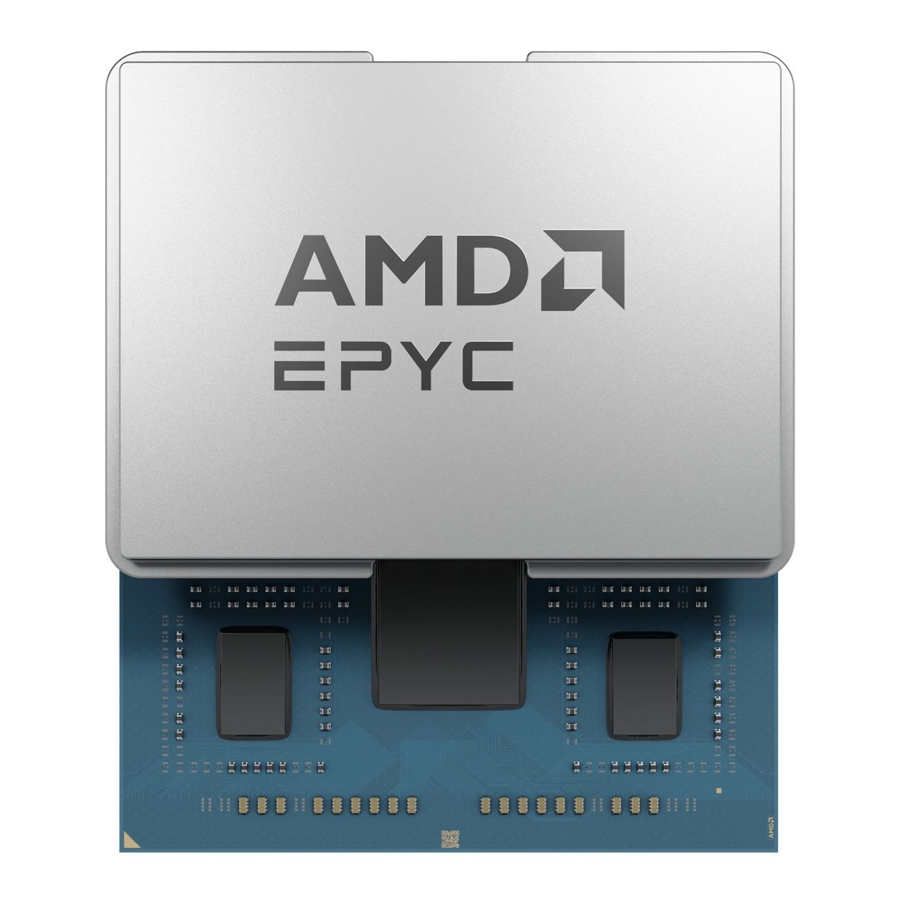 AMD EPYC 8224P processor 2.55 GHz 64 MB L3_2