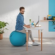 Leitz Ergo Cosy Blue Indoor Round_8