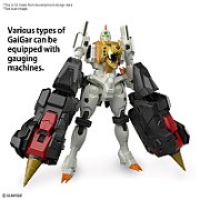 RG GAOGAIGAR_12