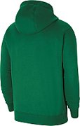 Men's Nike Team Club 20 Hoodie green CW6894 302_1