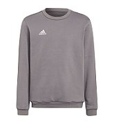 Sweatshirt for kids adidas Entrada 22 Sweat Top gray H57477 116cm_1