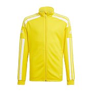 adidas Squadra 21 Training Youth Sweatshirt yellow GP6453 116cm_1