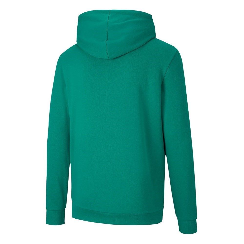 Puma teamGOAL 23 Causals Hoody green 656580 05 S_2