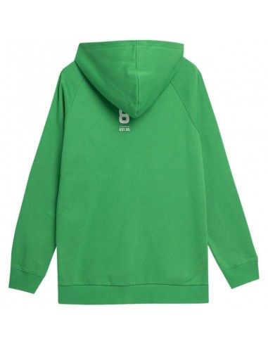 Men's sweatshirt 4F green 4FSS23TSWSM236 41S_2