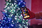 TWINKLY Strings 600 (TWS600STP-BEU) Smart Christmas tree lights 600 LED RGB 48 m