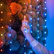 Twinkly Candies – 200 Lampki w kształcie pereł RGB LEDs  zielony przewód  USB-C