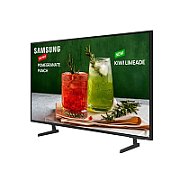 TV Signage Samsung BE43D-H, 43