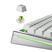 Glorious Raptor HE Standard Switch  Hall Effect  clicky  MX-Stem  55g - lubed  36 pieces