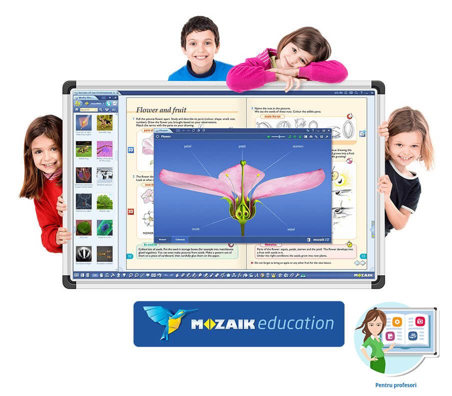 Software Mozaik Teacher , lectii interactive in timp real, licenta 1 / 1 an