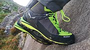 SALEWA crow gtx shoes