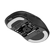 Gaming Mouse Endgame Gear XM2w 4k v2