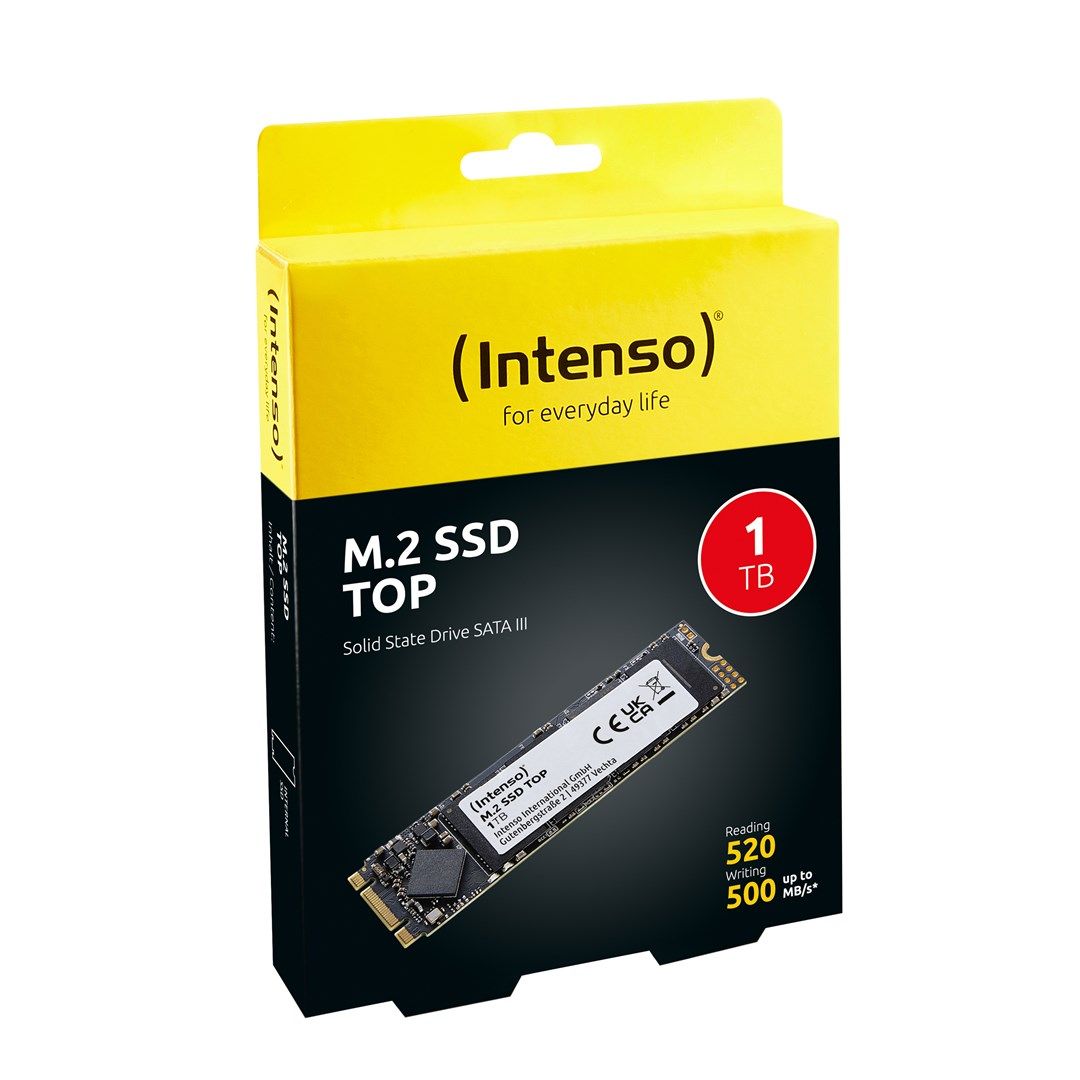 SSD Drive M.2 1TB Intenso